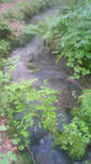 201108091731001.jpg