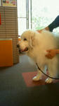 201108141002002.jpg