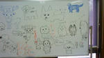 201108301132000.jpg