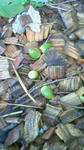 201109220930001.jpg