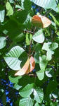 201109220931000.jpg