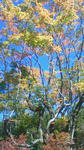 201109291055000.jpg