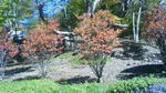 201109291055001.jpg