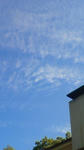 201110041440000.jpg