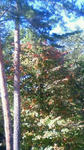 201110041442000.jpg