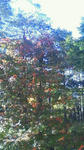 201110041442001.jpg