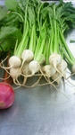 201110170904000.jpg