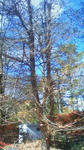 201110261118000.jpg