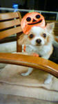201110281941000.jpg