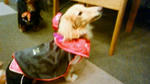 201110292041000.jpg