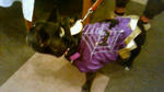 201110292045001.jpg