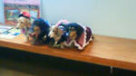 201110292053000.jpg