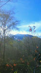 201111120930000.jpg