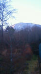 201111210630000.jpg