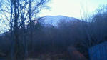 201111210631000.jpg
