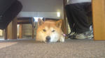 2011122507400002.jpg