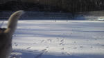 2011122509120001.jpg