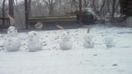 2012010213120000.jpg