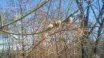 201204080929000.jpg
