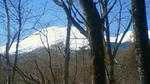 201204080938000.jpg