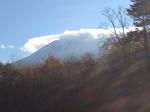 IMG_7939.jpg
