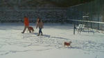 201212090959000.jpg