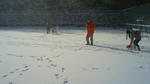 201212090958000.jpg