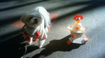 201301030923001.jpg