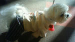 201301030922002.jpg