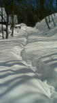 201302251203000.jpg