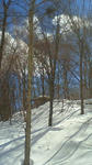 201302251205000.jpg
