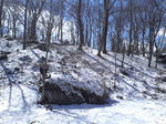 20130411-2.JPG