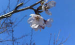 20130501.JPG
