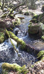 20130506.JPG