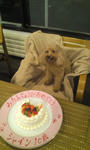 20130510.JPG