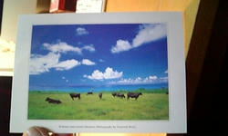 f6938452.jpg