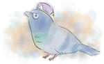 hato.jpg