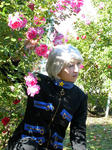 ln001.jpg