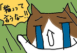 fimg_1260722600.png