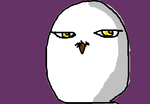 fimg_1266940300.png