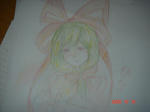 DSC02789.jpg