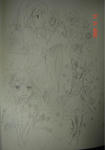 1050cec0.jpg