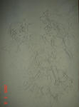 41d8928f.jpg