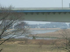070304春の陽気の多摩川