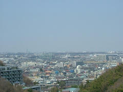 070321読売ランド付近から見た多摩遠望