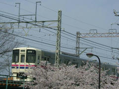 桜の中を快走する京王９０００系