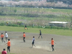 多摩川の春