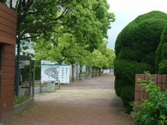 九州産業大学北門