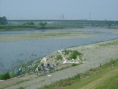 夏の多摩川の風景