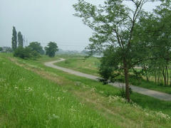 多摩川の細い道